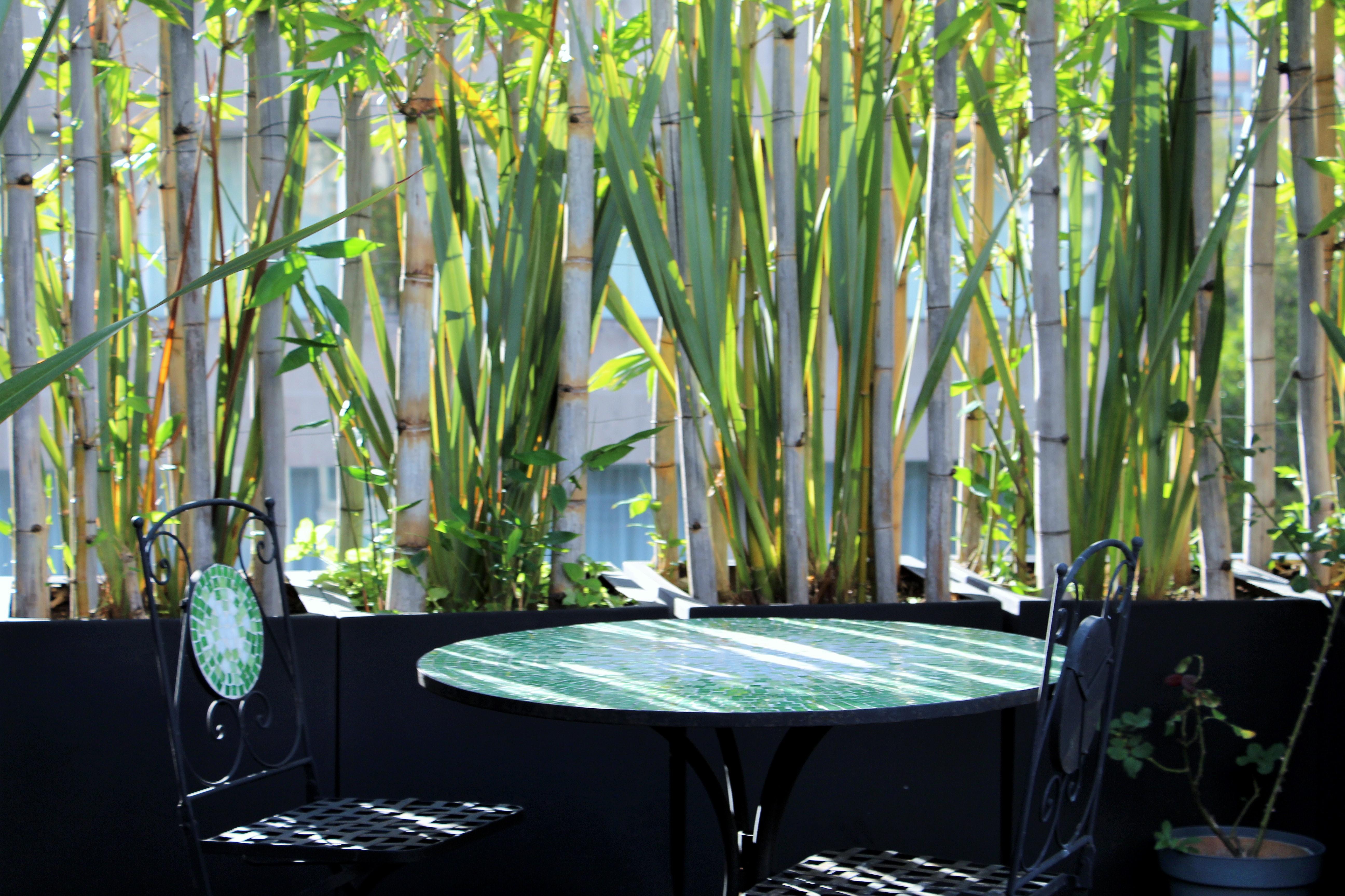Residence L' Heritage Hipolito Taine By Bluebay Mexico By Eksteriør billede